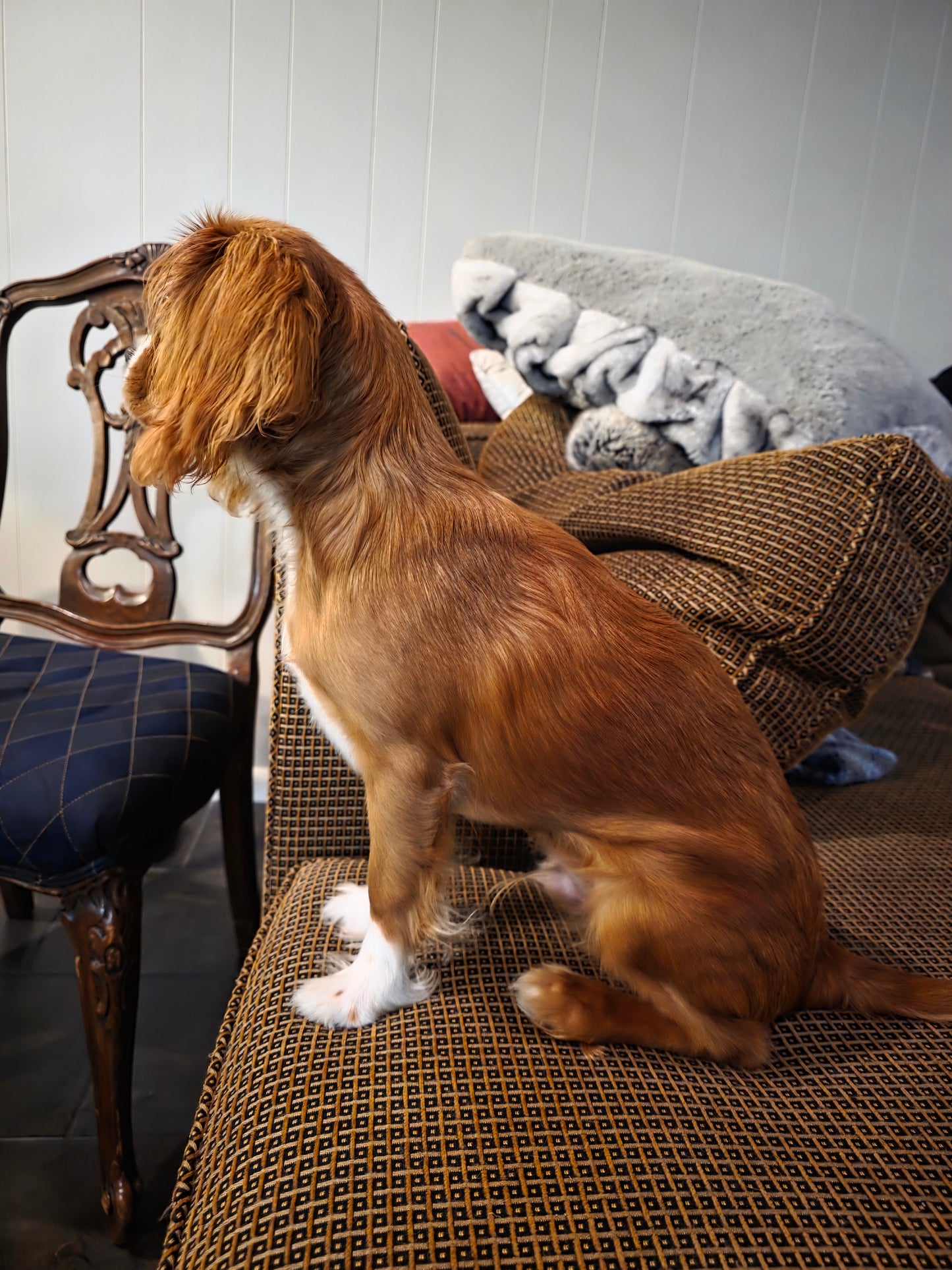 World Traveller - Italian Tuscan Crossbody